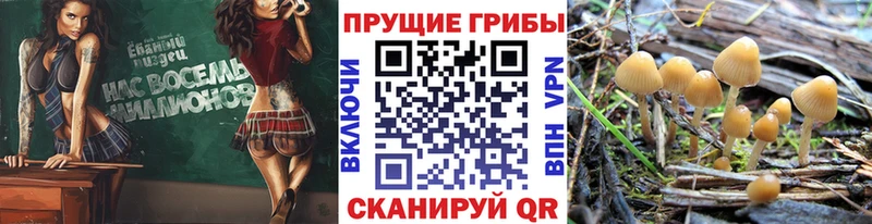 гидра маркетплейс Алейск Псилоцибиновые грибы ЛСД площадка Telegram купить наркотики сайты
